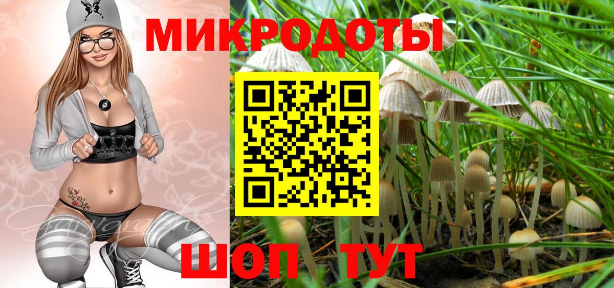 Псилоцибиновые грибы прущие грибы Ирбит